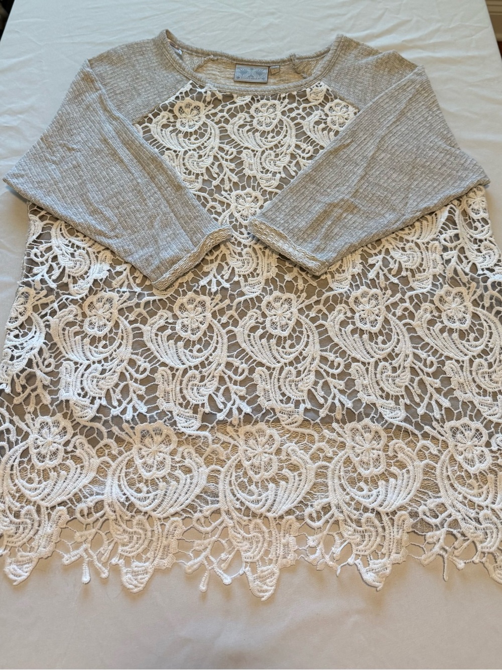 Dantelle Lace-Front Pullover in Cream & Beige